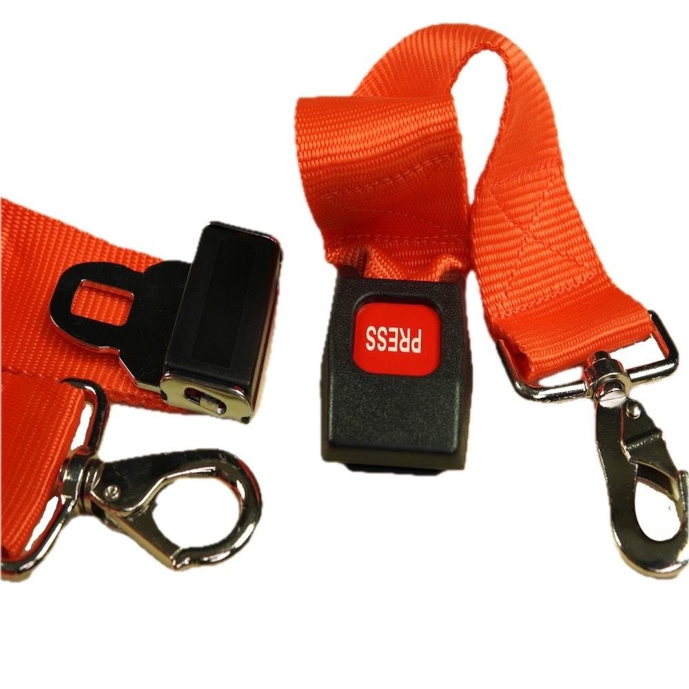 Courroies d’immobilisation, FIMUQ